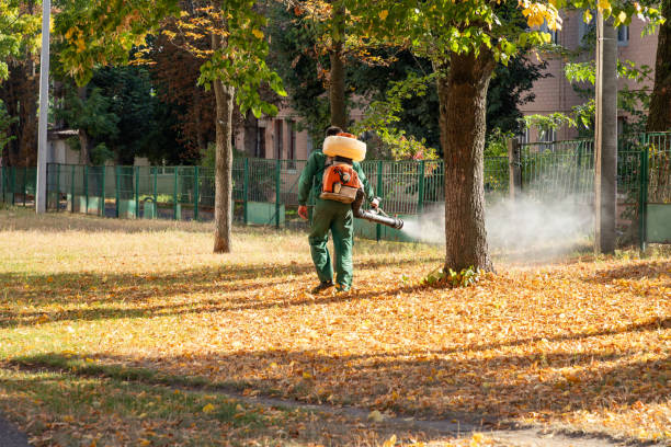 Reliable Silver Lake, OH Pest Control Solutions