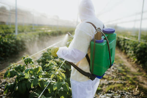 Insect Control in Silver Lake, OH